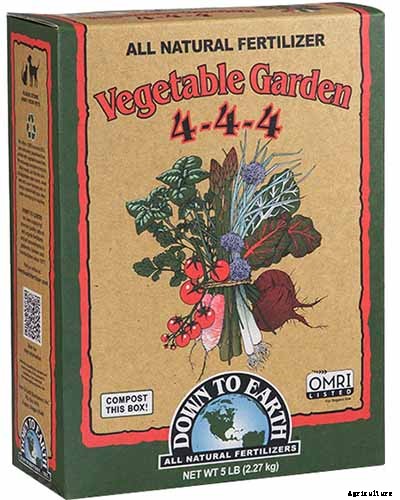 How to Grow Horehound