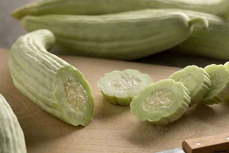 17 Unusual Fruits and Vegetables for your Backyard Landscape