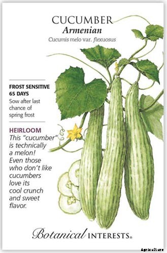 17 Unusual Fruits and Vegetables for your Backyard Landscape