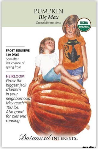 17 Unusual Fruits and Vegetables for your Backyard Landscape