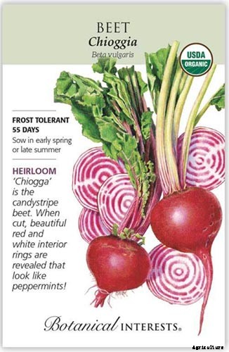 17 Unusual Fruits and Vegetables for your Backyard Landscape