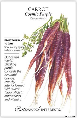 17 Unusual Fruits and Vegetables for your Backyard Landscape