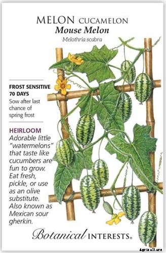 17 Unusual Fruits and Vegetables for your Backyard Landscape