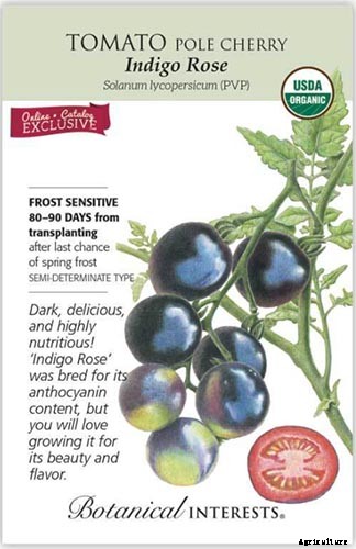 17 Unusual Fruits and Vegetables for your Backyard Landscape