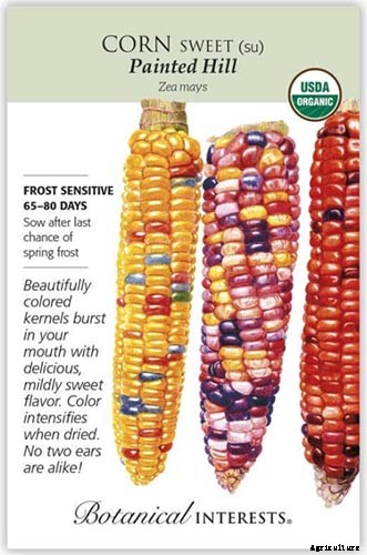 17 Unusual Fruits and Vegetables for your Backyard Landscape