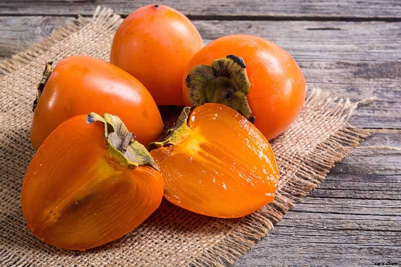 17 Unusual Fruits and Vegetables for your Backyard Landscape