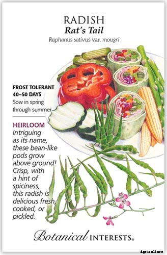 17 Unusual Fruits and Vegetables for your Backyard Landscape