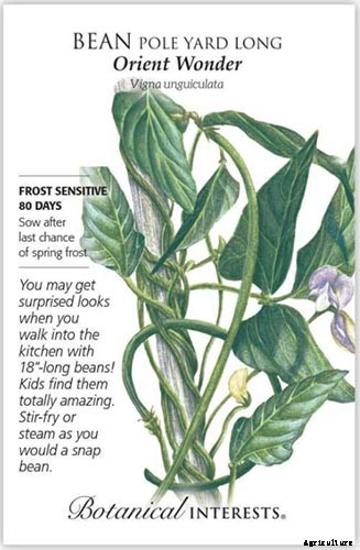 17 Unusual Fruits and Vegetables for your Backyard Landscape