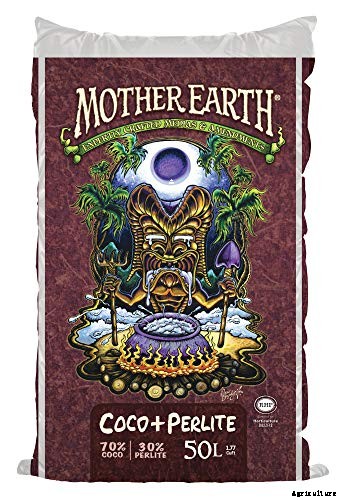 How and When to Take Elderberry Cuttings to Propagate New Plants