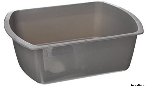 How to Bottom Water Houseplants