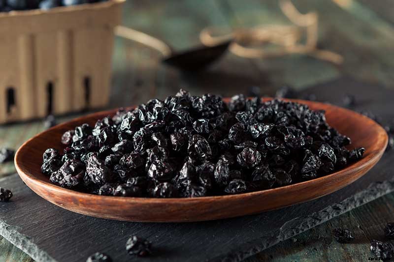 How to Harvest Perfectly Ripe Blueberries