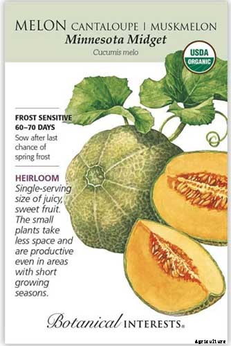 33 of the Best Melon Varieties