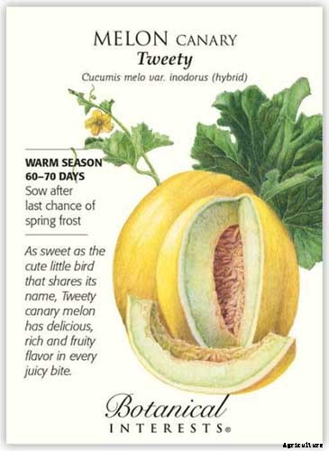 33 of the Best Melon Varieties