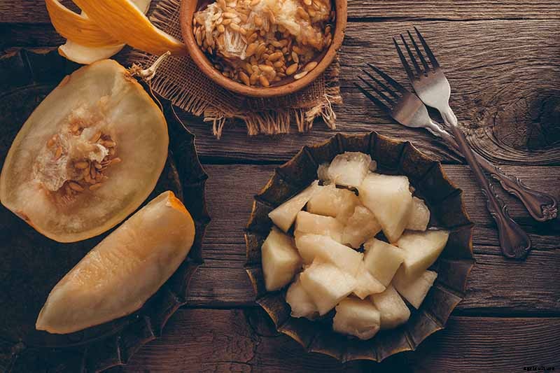 33 of the Best Melon Varieties