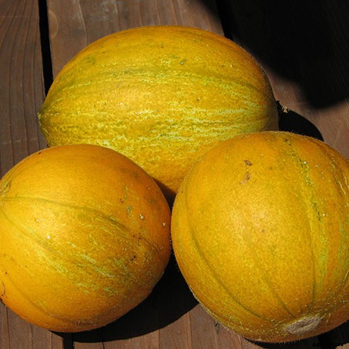 33 of the Best Melon Varieties