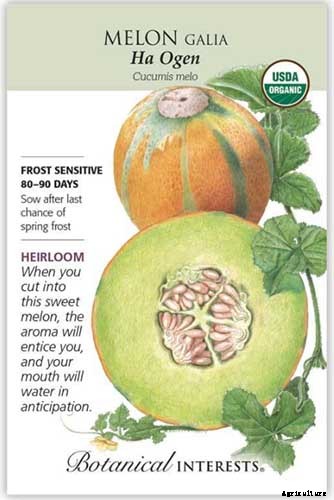 33 of the Best Melon Varieties