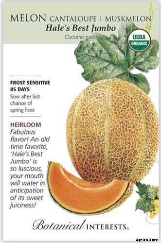 33 of the Best Melon Varieties