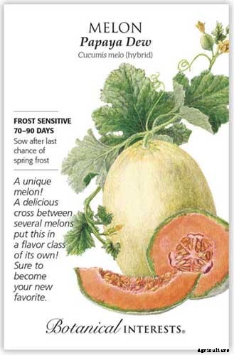 33 of the Best Melon Varieties