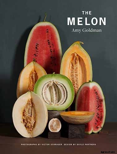 33 of the Best Melon Varieties