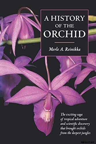 Orchids 101: How to Grow and Care for Orchids