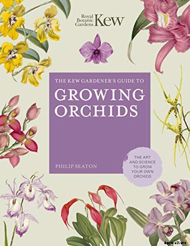 Orchids 101: How to Grow and Care for Orchids
