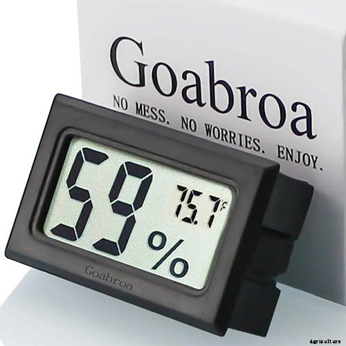 Orchids 101: How to Grow and Care for Orchids