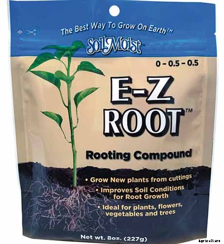 How to Propagate Azaleas for Gorgeous New Shrubs