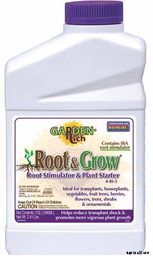 How to Grow and Care for Common Thyme