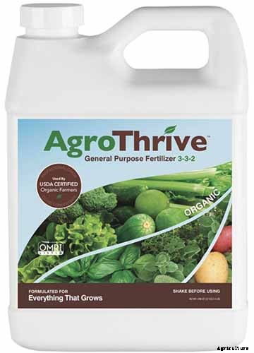 How to Grow and Care for Common Thyme