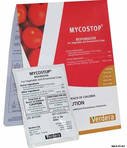 How to Grow and Care for Common Thyme