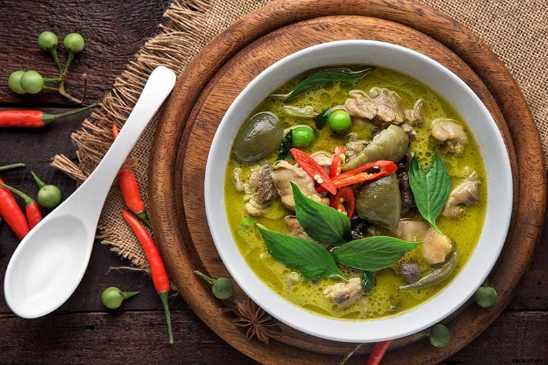 How to Grow Your Own Curry Leaf Tree