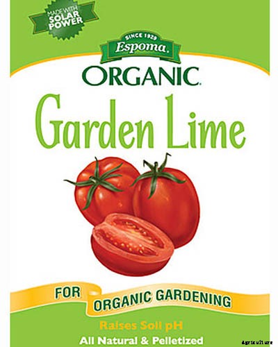 Why Won’t My Bee Balm Flower?