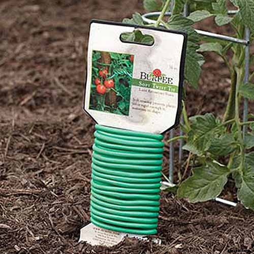 Grow Your Own Birdhouses with These Decorative Gourds