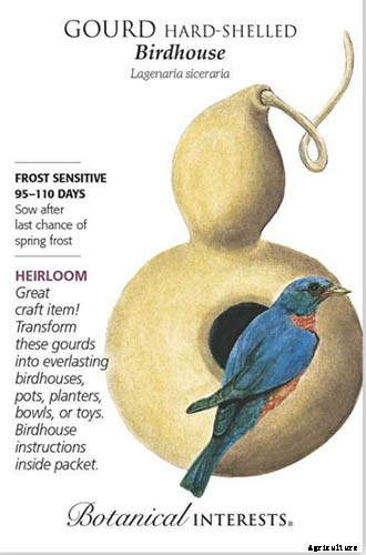 Grow Your Own Birdhouses with These Decorative Gourds