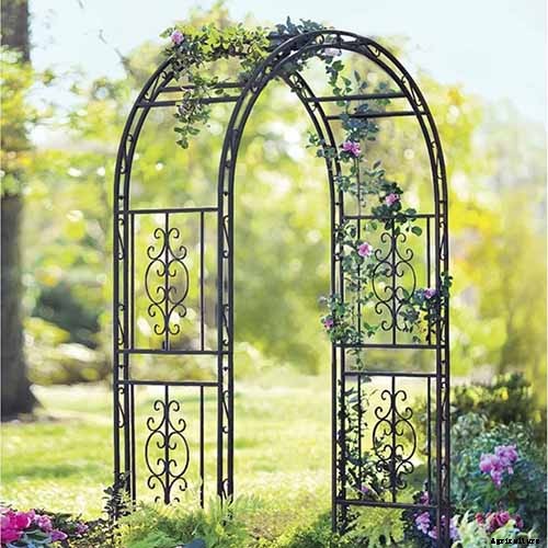 Grow Your Own Birdhouses with These Decorative Gourds