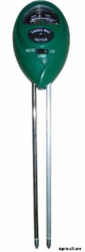 Tips for Growing Fuchsia as Houseplants