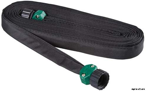 How to Grow and Care for Azaleas in the Garden