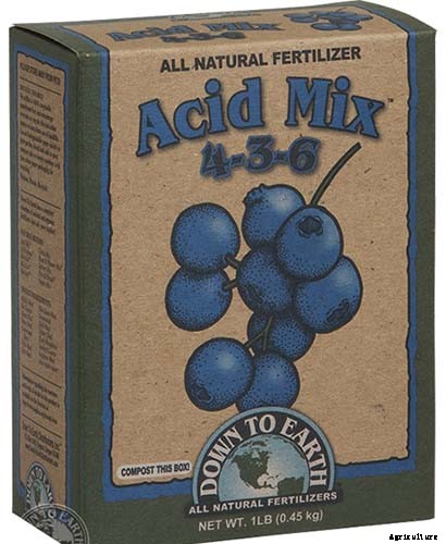 How to Grow and Care for Azaleas in the Garden