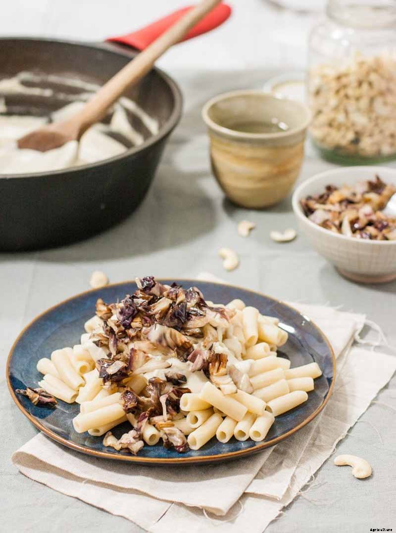 How to Grow Radicchio in the Garden