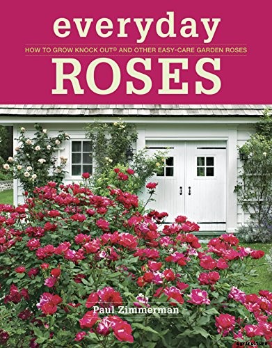 Growing Roses 101: Getting Started
