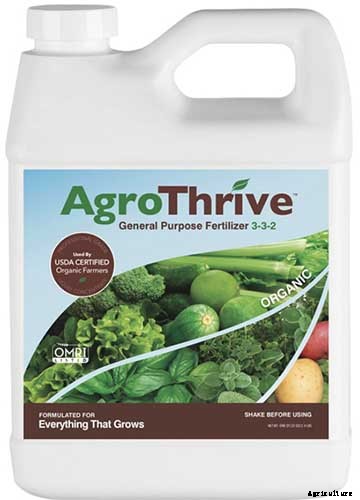 How to Grow and Harvest Dandelions for Greens, Roots, and Flowers