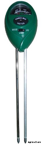 How to Grow and Care for Philodendron