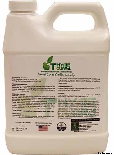 How to Grow and Care for Butterfly Bush