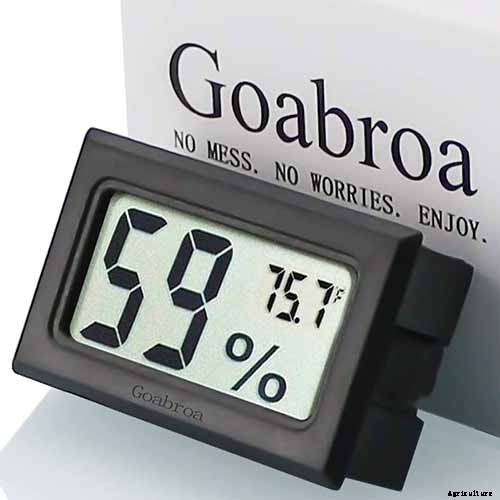 Troubleshooting Yellow Leaves on Prayer Plants