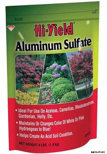 How to Change the Color of Hydrangea Flowers