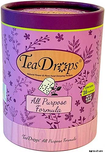 How to Grow and Care for Prayer Plants