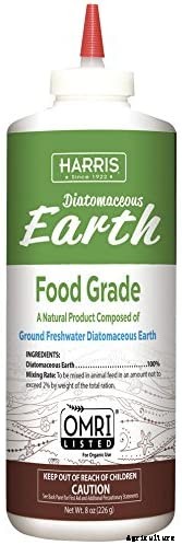 How to Identify and Control 7 Common Christmas Cactus Pests