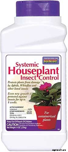 How to Identify and Control 7 Common Christmas Cactus Pests