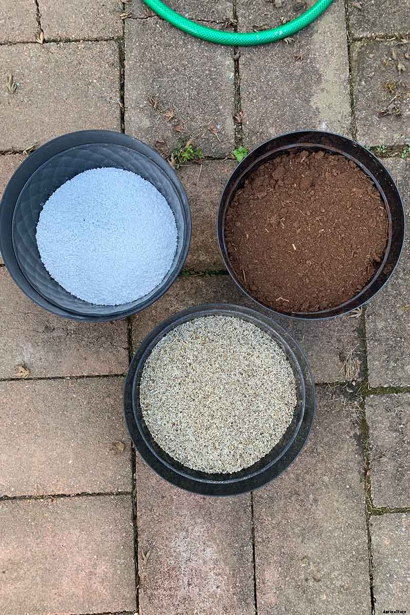 What Is the Best Potting Mix for Christmas Cactus?