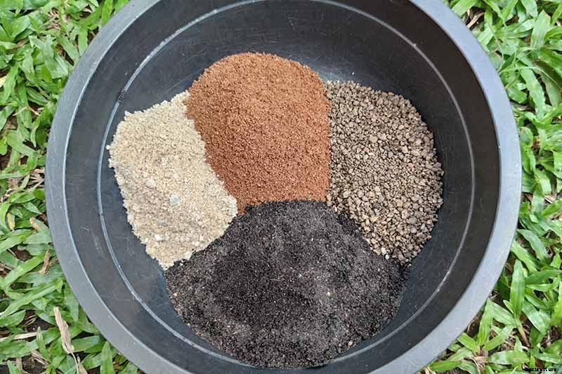 What Is the Best Potting Mix for Christmas Cactus?